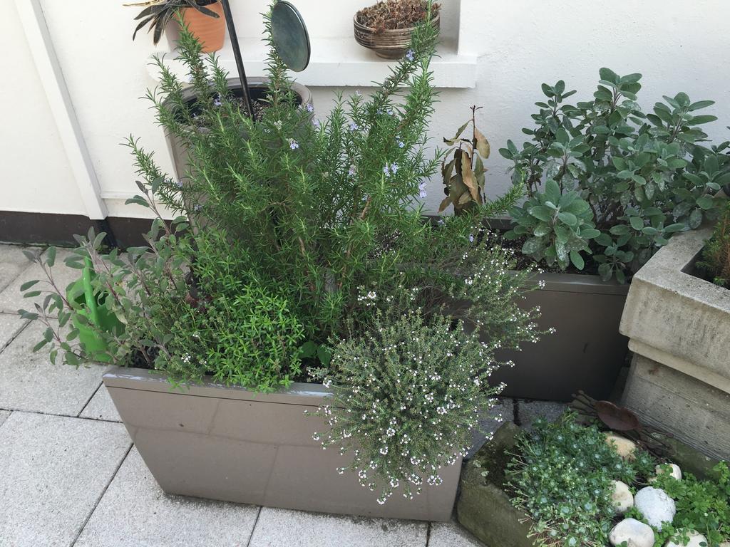 Mangolds Boutique Hotel & Fruehstuecksmeisterei 施韦因福特 外观 照片
